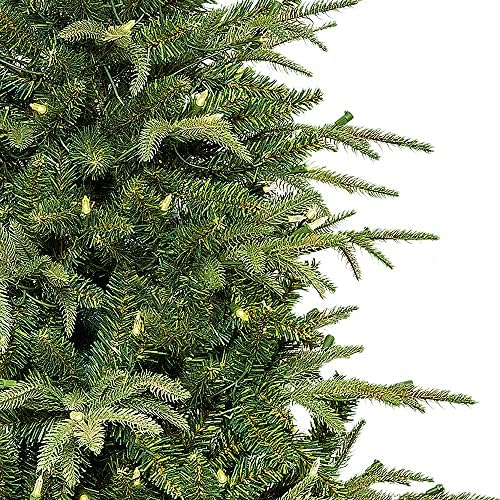 Kurt S. Adler 250 Light Incandescent Grand Fir Tree, 60 polegadas, verde