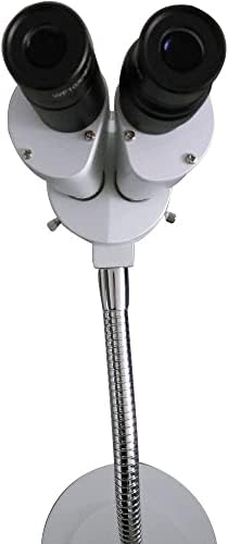 Eustoma 10x Binocular estereomicroscópio Inspeção Microscópio de trabalho Microscópio Técnico Microscópio