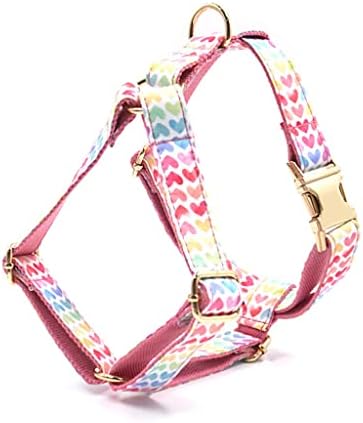 Arnês personalizado dhdm para cães pequenos 5pcs colar de cachorro de combinação grátis com nomes gravados corações rosa padronizada colarinho colarinho