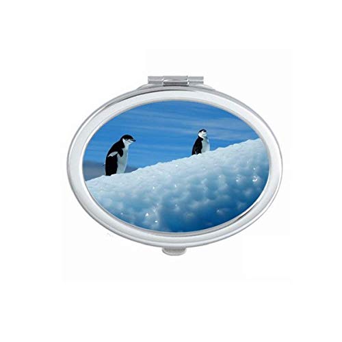 Dois pingüins antárticos ciência natureza espelho espelho portátil maquiagem de mão dupla de óculos laterais