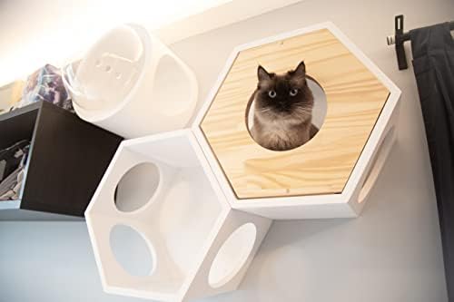 MyZoo Busycat: cama de gato montada na parede, móveis de gato de madeira, poleiro de gato flutuante,