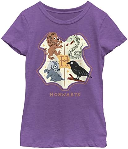 Camiseta de amigos hogwarts harry potter