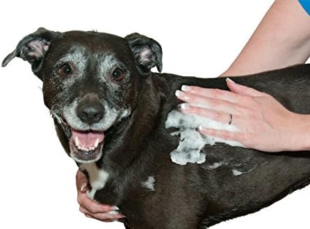 Limpeza de animais de estimação da primavera e desodorização da mousse para cães e gatos sem espuma