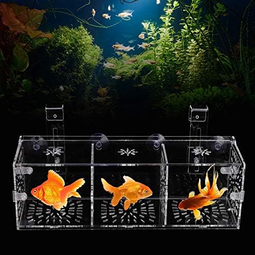 Caixa de criador de aquário Gloglow, 3 tamanhos