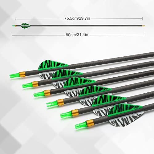 Reawow Composto Bow and Arrow Kit para adultos e arco e flecha de caça de jovens com 18 flechas