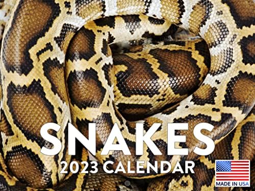 Snake 2023 Calendário de parede Organizador diário de Wall Organizador Nature Art Agenda Nomeação Casa e