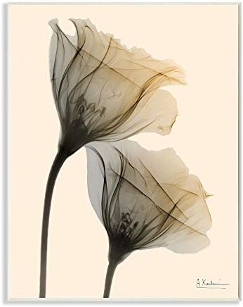 Fotografia de flores leves neutras da Stuell Industries, design de Albert Koetsier Art, 10 x 15, placa