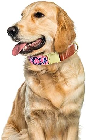 TDTOK Floral Basic Dog Collar, colares de cães macios e confortáveis ​​com fivela de metal premium, colar de