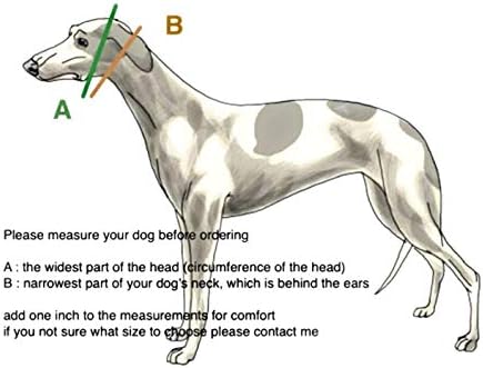 Sighthound Gang Martingale Dog Collar for Greyhound Saluki Whippet e outras raças com pescoço semelhante 2 polegadas