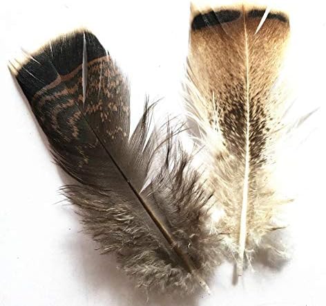 Zamihalla Turkey Pheasant Plumage Eagle Feathers 10-15cm/4-6 polegadas Favoras de Decoração de Casamento para Artesanato Plumes de Plumas de Carnaval-10 PCs