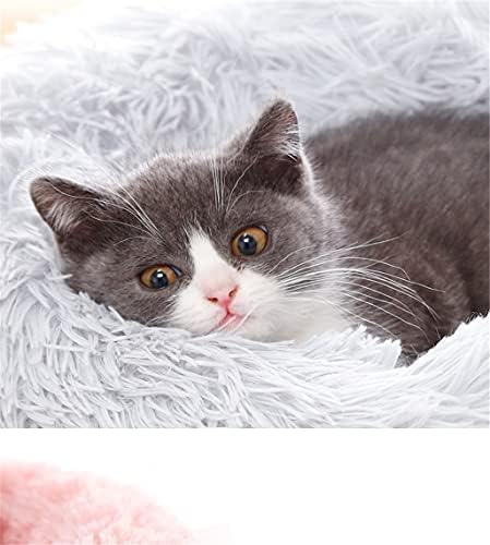 Slatiom lounger for Cats House Bed Saco para produtos para gatos para animais de estimação Scratcher com um