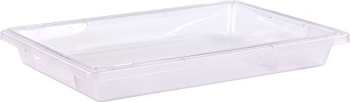 Carlisle Foodservice Products 1062007 Caixa de cor StorPlus, capacidade de 5 galões, policarbonato, transparente