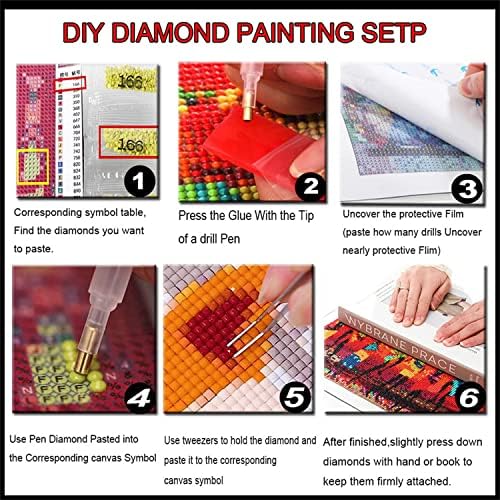 Kits de pintura de diamante 5D DIY para adultos, 5 conjuntos/peças Bordado de diamante Diamante Frill broca
