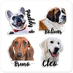 Foto de estimação para cães personalizados com nome de vinil adesivo - Presente de adesivo para proprietários