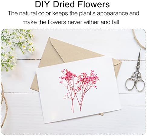 Excelty Real Sry Pressed Flowers para scrapbooking