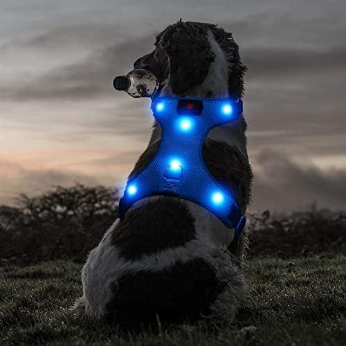 Ezier LED LIGHTED DOG ARNESSO- USB Recarregável sem arnês de cachorros, brilho ajustável de malha no colete de cachorro refletivo escuro para cães pequenos