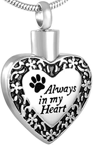 Komedo Dog/Cat Paw Print sempre em meu coração colar de urna em aço inoxidável para animais de