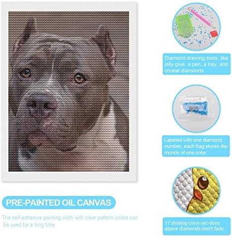 Pitbull Dog Diy 5D Kits de pintura de diamante Full Drill Diamond Pictures Arts Arts para decoração em casa