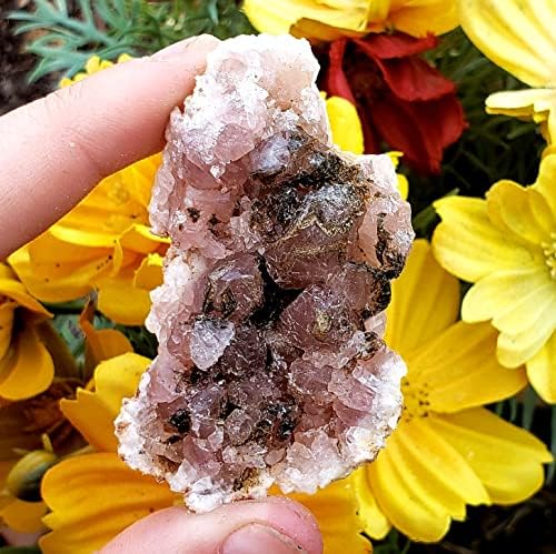 Ametista rosa da Argentina - Cura de Cura Natural Chakra Crystal Gemstone - Espécime Druzy Free Druzy com Crystal